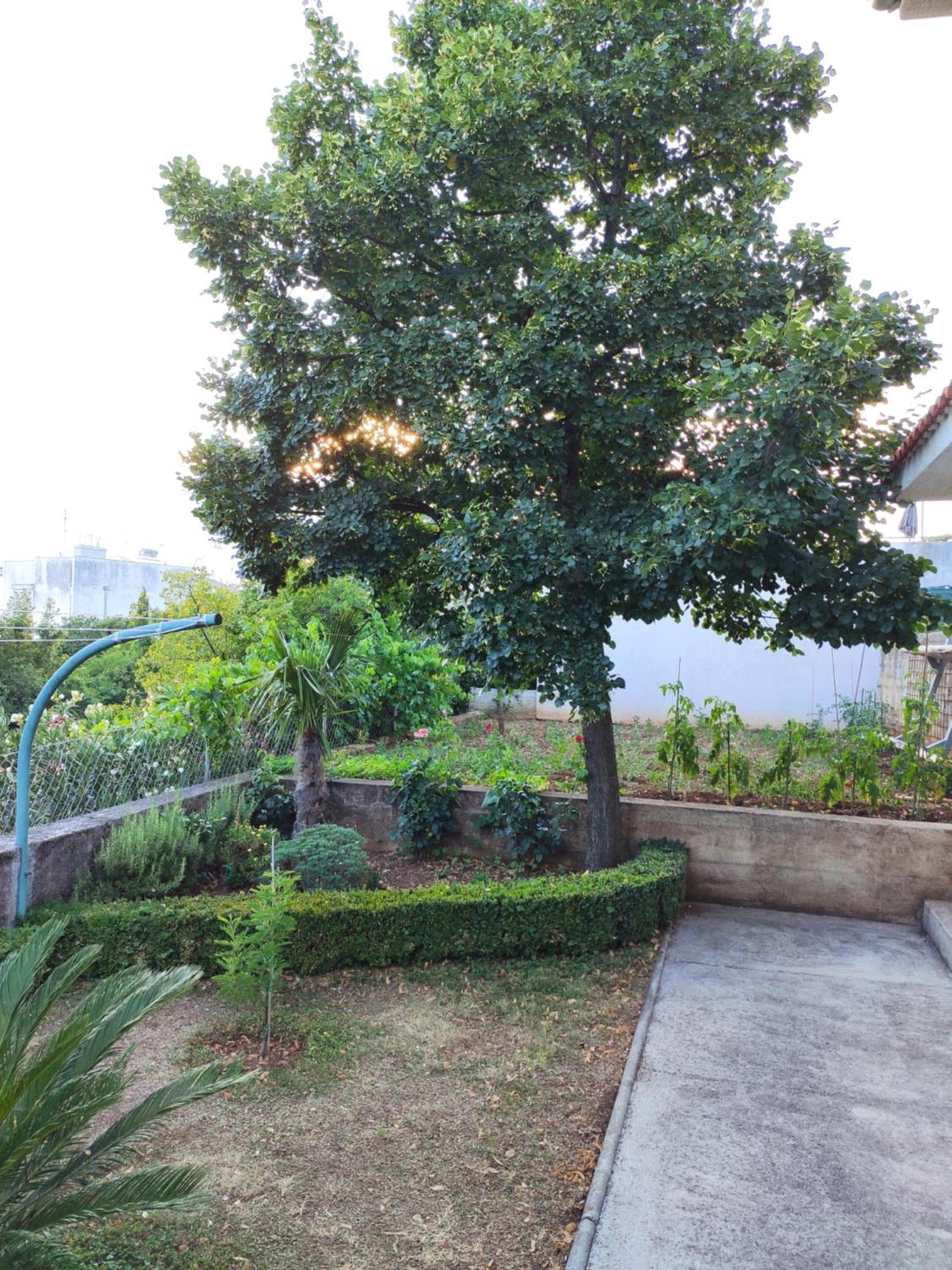 Apartment With Private Garden And The Terrace Ev Station Available Crikvenica Zewnętrze zdjęcie