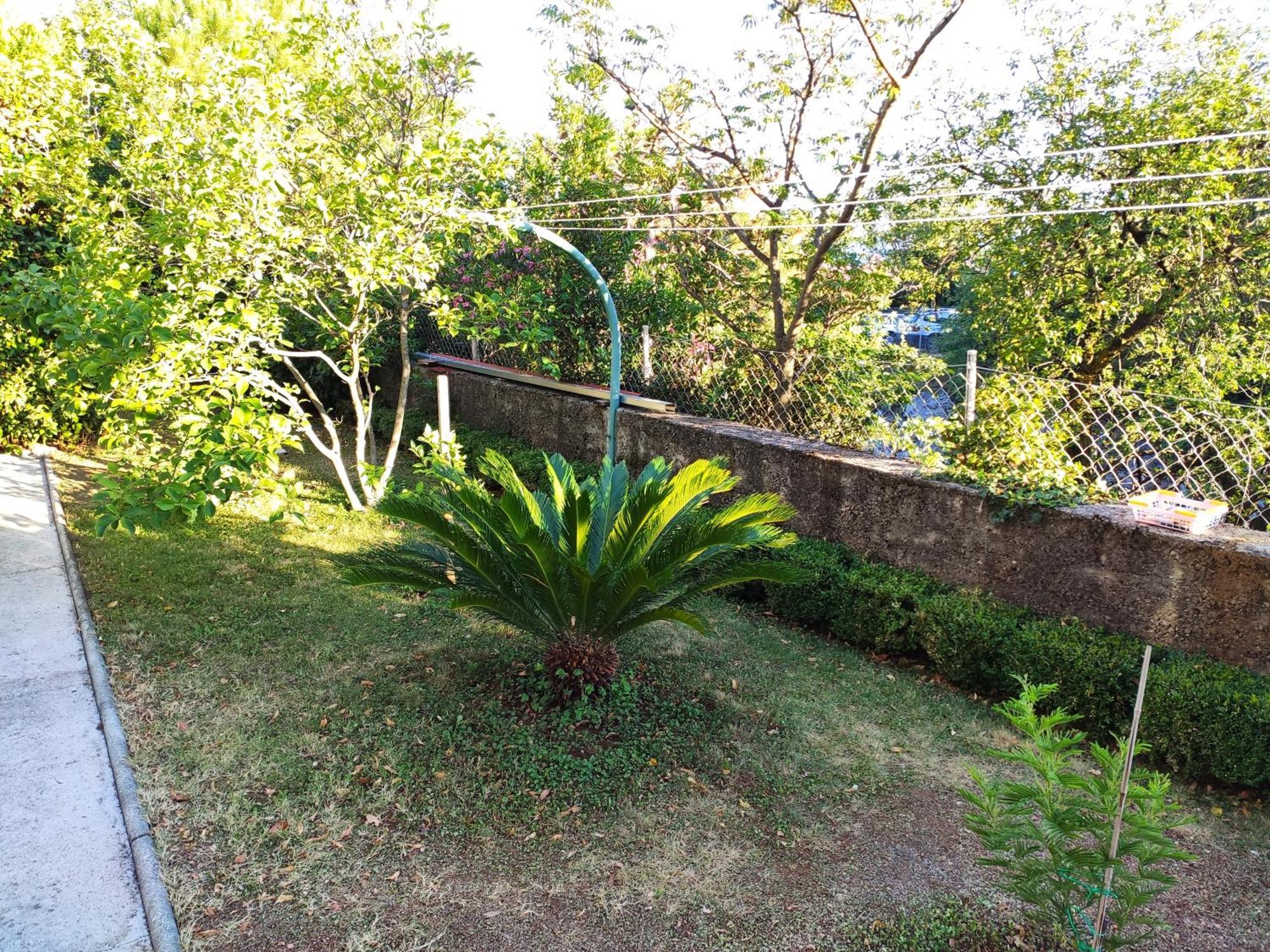 Apartment With Private Garden And The Terrace Ev Station Available Crikvenica Zewnętrze zdjęcie