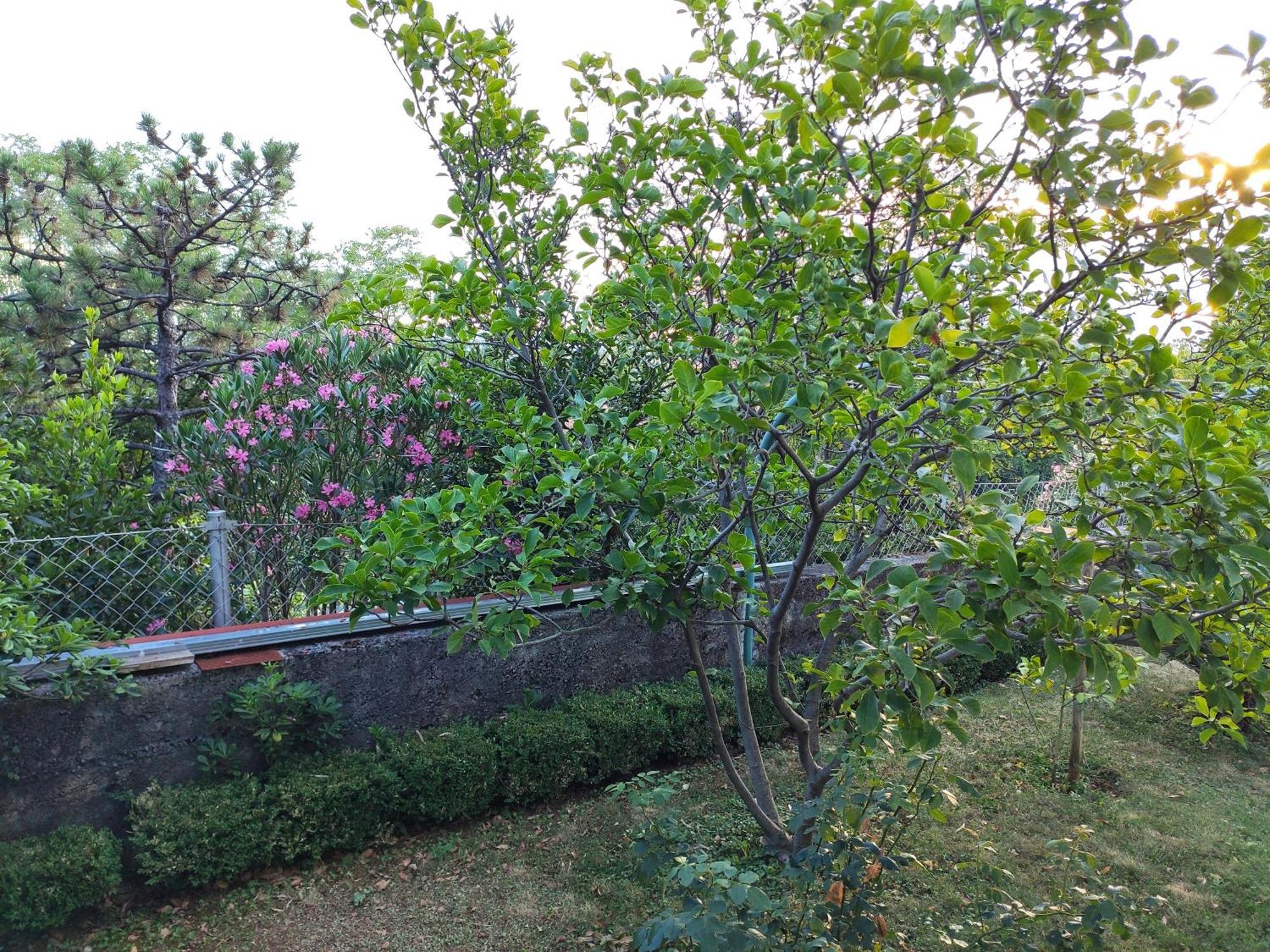 Apartment With Private Garden And The Terrace Ev Station Available Crikvenica Zewnętrze zdjęcie