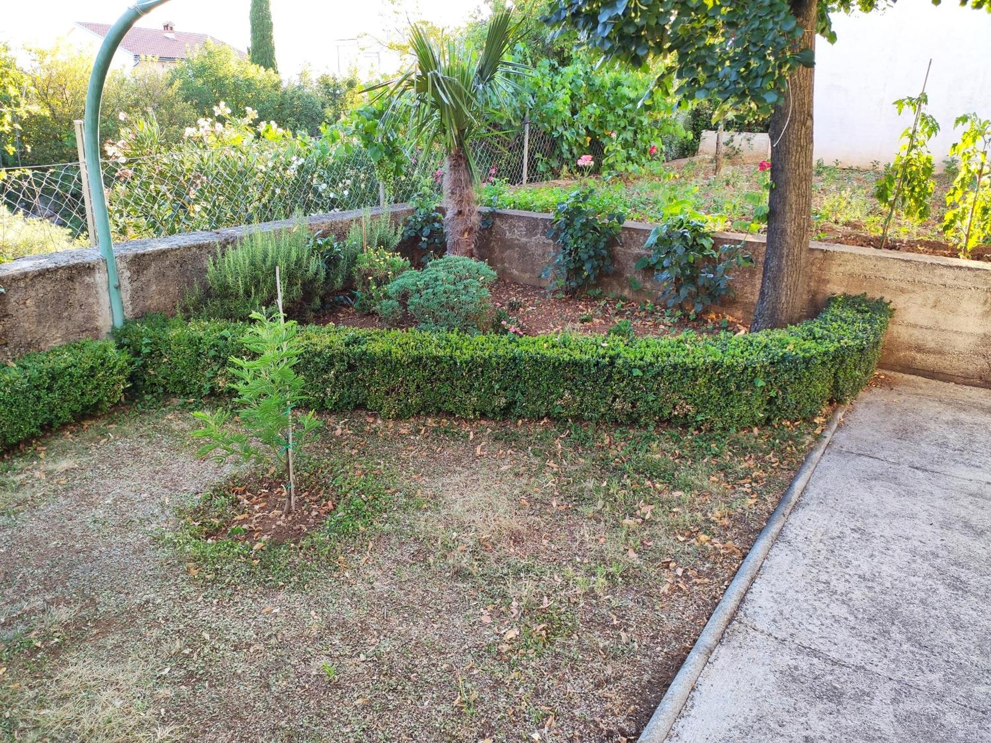 Apartment With Private Garden And The Terrace Ev Station Available Crikvenica Zewnętrze zdjęcie
